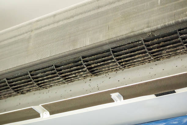 Best HVAC System Cleaning  in Alexandria, VA
