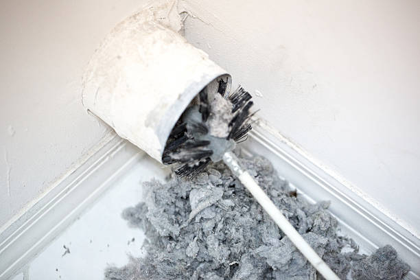 Best Professional Duct Cleaning Services  in Alexandria, VA
